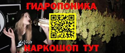 мдпв Рязань