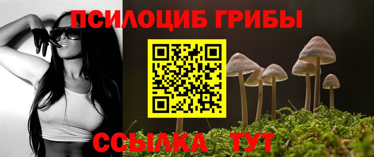 Галлюциногенные грибы ЛСД  Вход с VPN  Бор  Псилоцибиновые грибы мицелий 