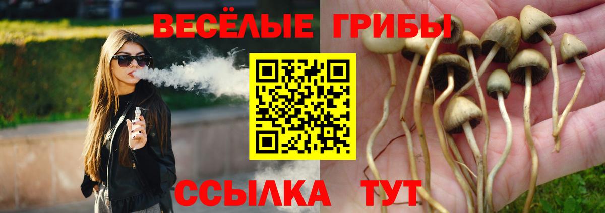 Псилоцибиновые грибы Magic Shrooms Бор